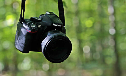 Fotografía digital para principiantes